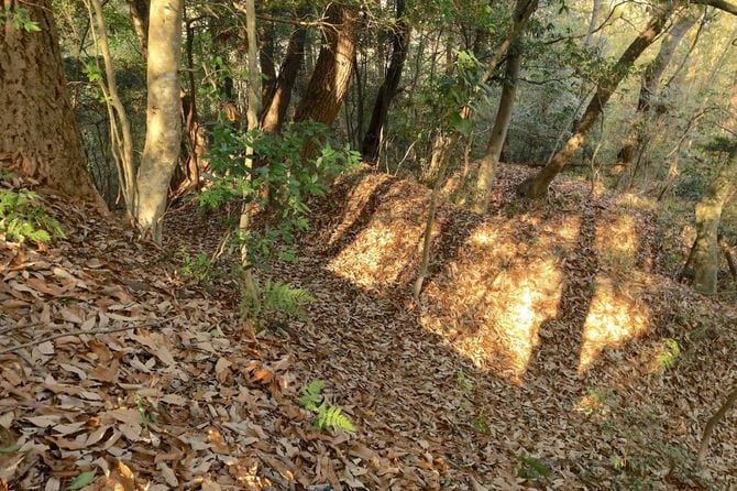 凸凹が明確な三重堀切
