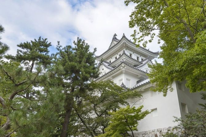 岐阜県の大垣城