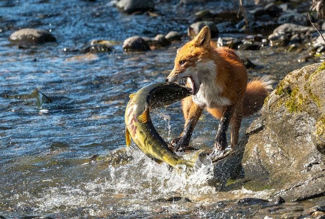 2026佳作（1）「格闘」門間直美さん