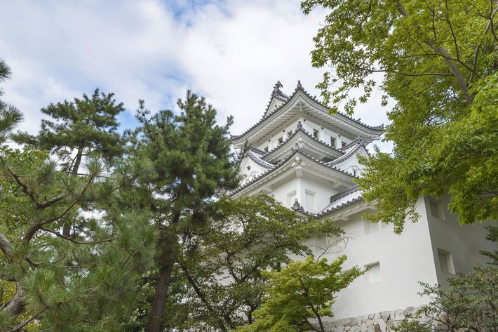 ※写真はイメージです