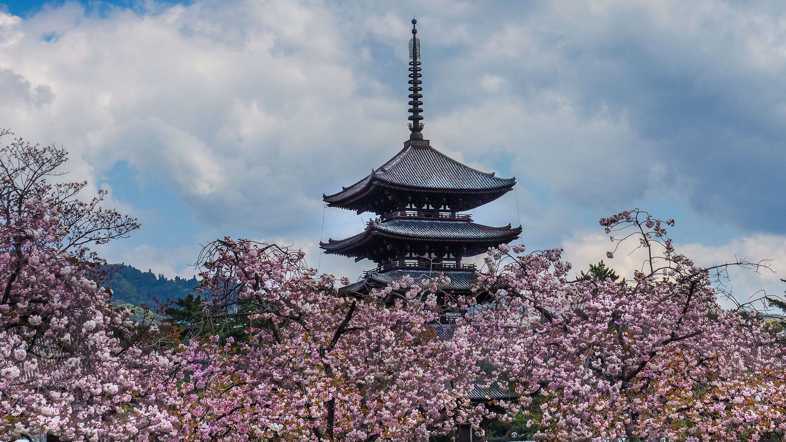 奈良旅行で｢地図がなくても道に迷わない｣裏技 ｢万葉集｣を楽しむプロのとっておき