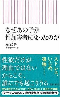 宮口幸治『なぜあの子が性加害者になったのか』(朝日新書)