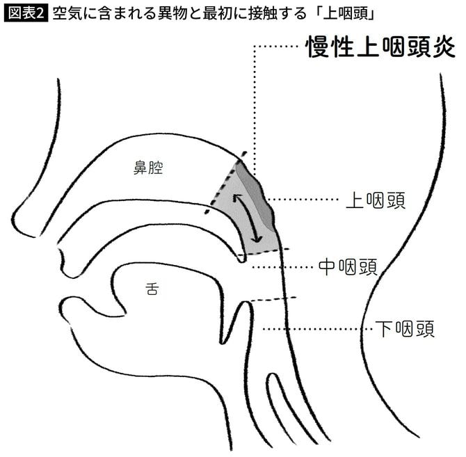 空気に含まれる異物と最初に接触する「上咽頭」