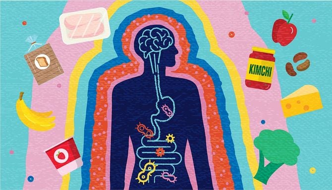 腸内細菌とプレバイオティクスおよびプロバイオティクス食品