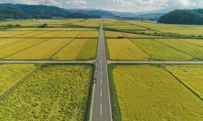クラビトステイがある長野県佐久市