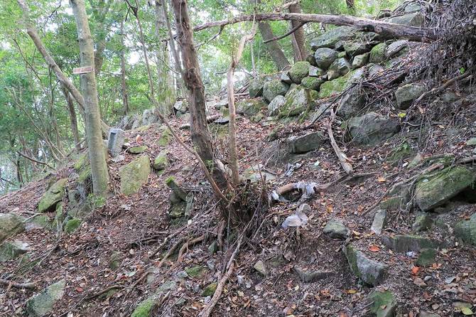 数10cmの高さで一列に並んだ石垣