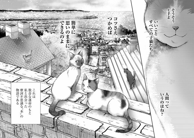 コミック『猫語の教科書』©沙嶋カタナ、ポール・ギャリコ/KADOKAWA