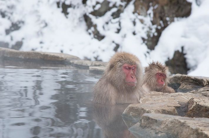 ※写真はイメージです