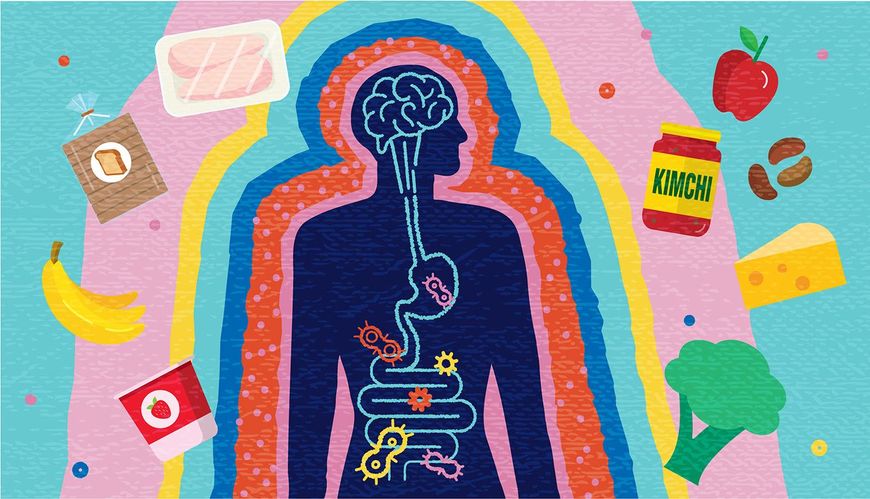 腸内細菌とプレバイオティクスおよびプロバイオティクス食品