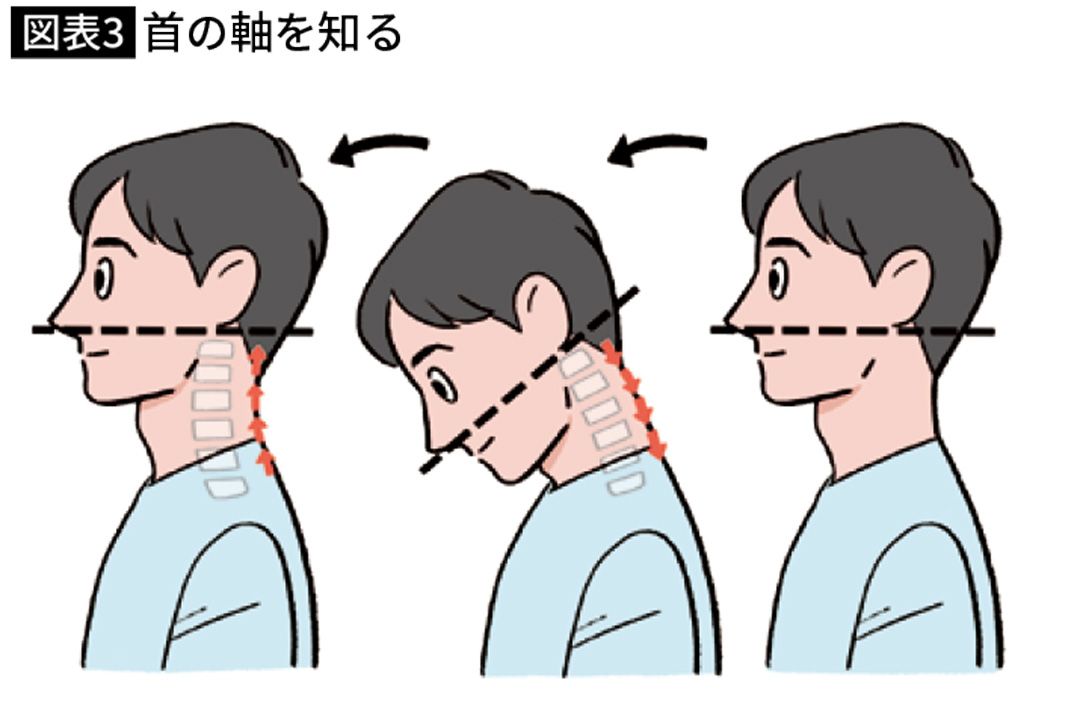 首の軸を知る