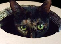 かえって大損！ 7大「間違った節約術」