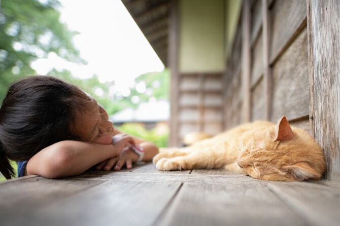 縁側で昼寝をする猫と少女