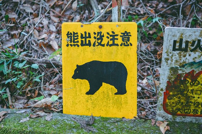 クマの警告看板