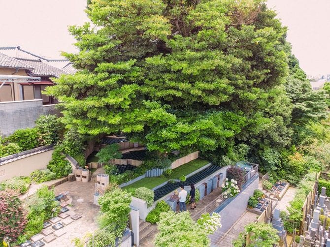 366が手がける台東区谷中の長明寺樹木葬