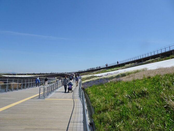 花壇になっているリング上部