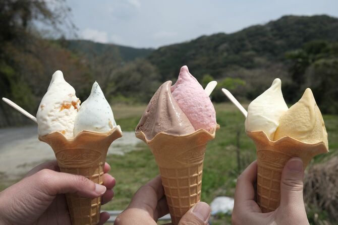 変わり種のジェラートも