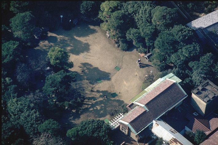 脳梗塞で倒れた後の様子が不明だった田中角栄の姿を捉えたスクープ写真（1985年撮影）。写真週刊誌からの300万円の買取オファーは蹴った。