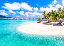 山好きを海好きに変える"ロジカル説得術"