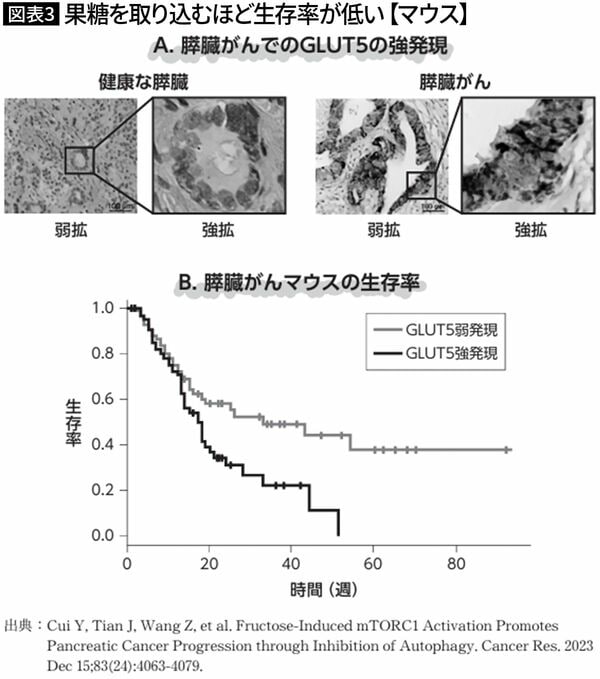 【図表3】果糖を取り込むほど生存率が低い【マウス】