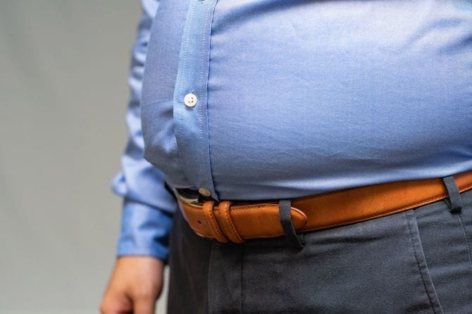 メタボリックなウエストの接写