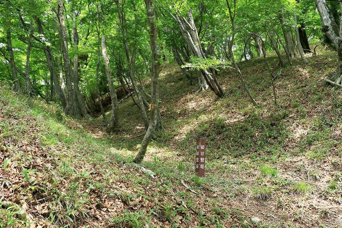 畝状竪堀は朝倉家の改修との説