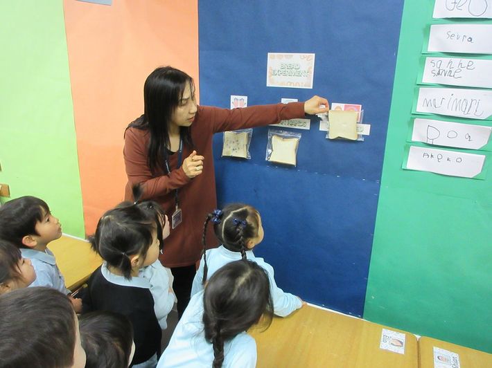 3歳児クラスで行っている「ばい菌」の実験。子どもたちが仮説を立てて、実験して検証する。自分で考え、体験することで思考力が育っていく