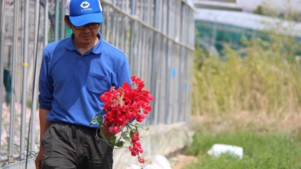 元エンジニアが｢農業で食える｣ようになるまで とにかく重要なのは｢人間関係｣