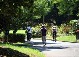 ＜脳の新科学＞走ればボケ防止＆頭がよくなる【1】