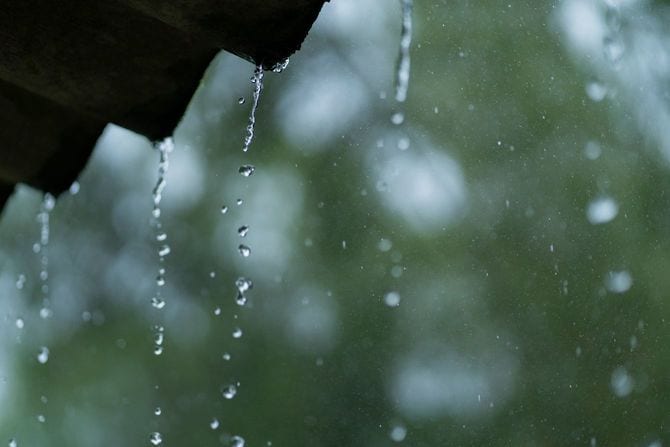 雨