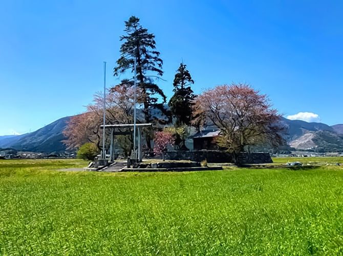 無人の神社でも「鎮守の杜」は保全されている