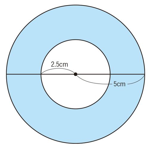 出典=『プレジデントFamily2023年冬号』より