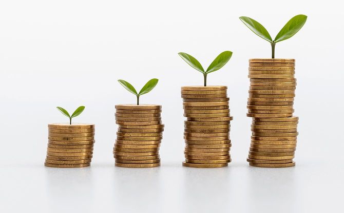 コインスタックと育つ木
