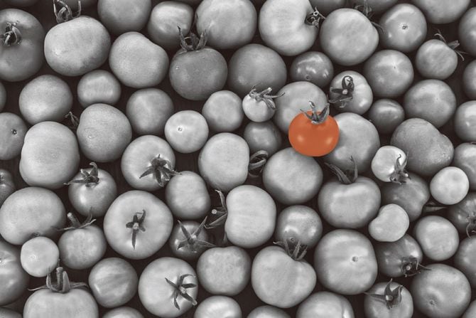 『あなたの世界をガラリと変える 認知バイアスの教科書』より