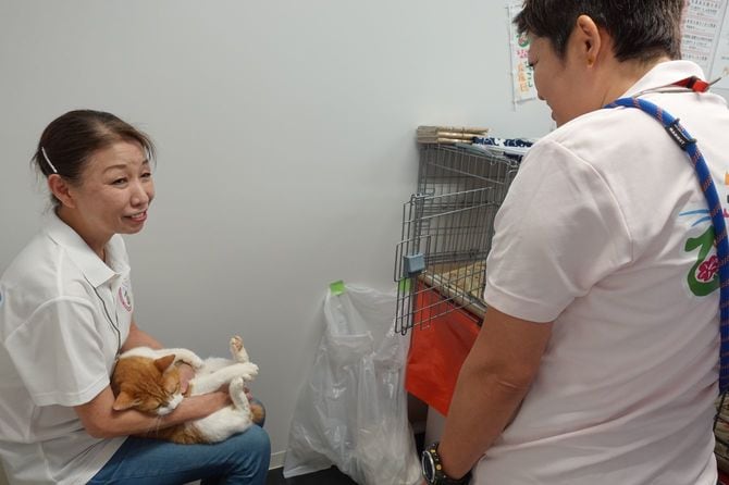 神坂獣医師(左)と齊藤獣医師