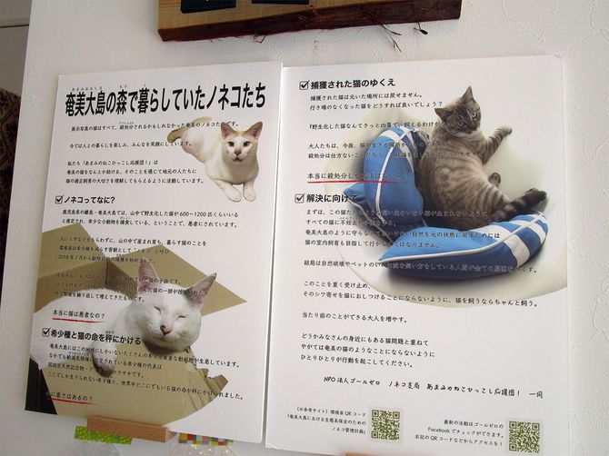 「ケット・シー」の店内に掲示されているノネコの啓発ポスター