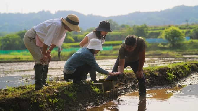 田んぼに取り組む農家の家族