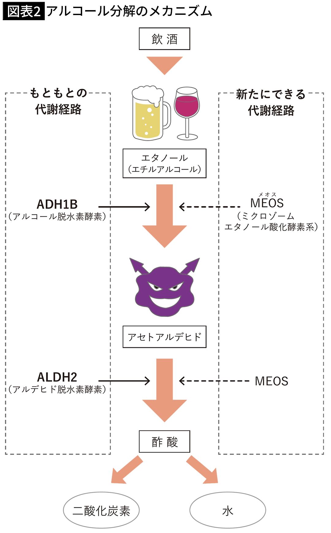 【図表2】アルコール分解のメカニズム