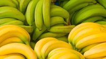 バナナは青色と黄色どちらがいいか…自律神経の専門家が勧める腸が｢ととのう｣スーパー食物繊維とは