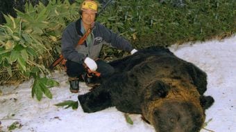 子グマを撃たれ､殺気立つ母グマが2メートル先に…200頭を仕留めたクマ撃ち名人が｢殺られる｣と覚悟した瞬間