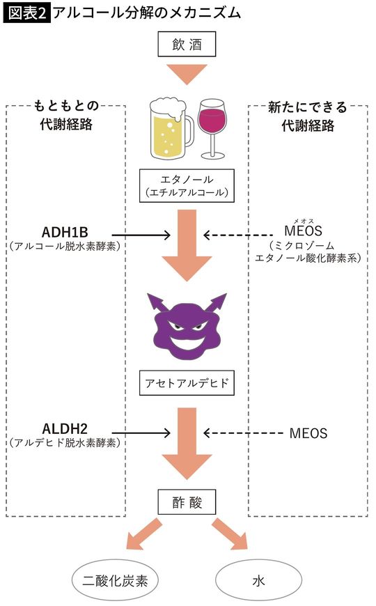 【図表2】アルコール分解のメカニズム