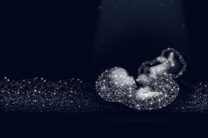 ホログラムで作られたヒトの胎児