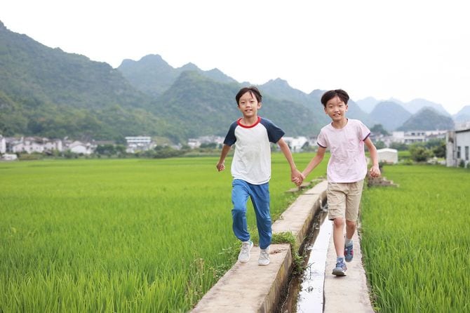 田んぼを歩く少年