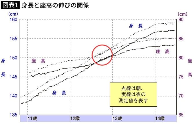 【図表1】身長と座高の伸びの関係