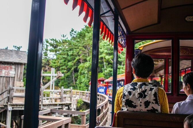 東京ディズニーで衣装を着た人が電車に乗る