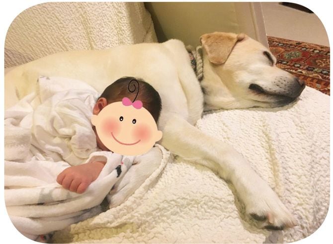 息子さんとアリスは一緒にいることで心も安定しているようです。