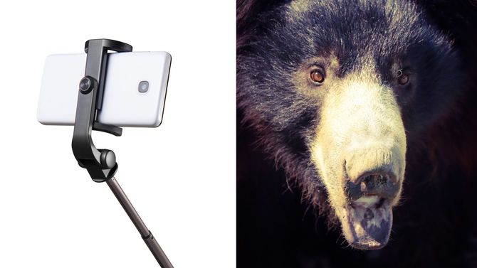 左）右）ナマケモノベア