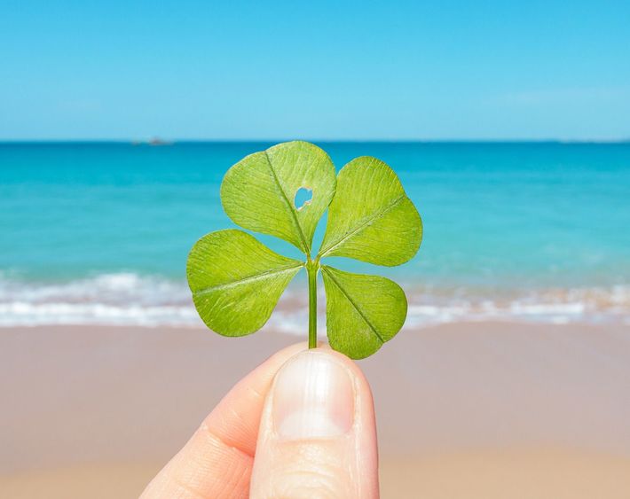 ※写真はイメージです