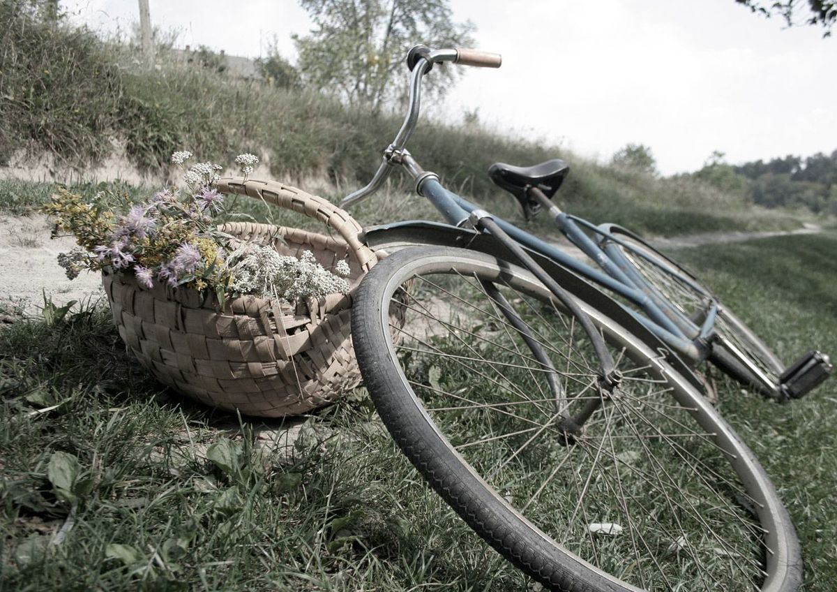 摘んだ野の花が入っているバスケットに自転車がかけてある