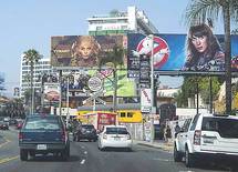 不法移民を黙認する「聖域都市」の裏事情