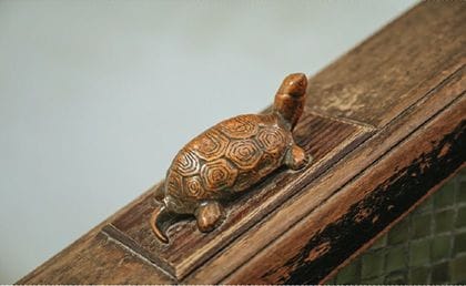 筑波大附属小